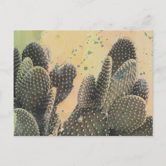 Carte Postale Cactus du désert | Plat vert (Devant)