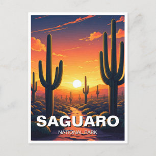 Carte Postale Cactus du Parc national du Saguaro Souvenir