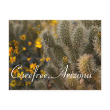 Cactus et Fleurs sauvages en Carefree, Arizona