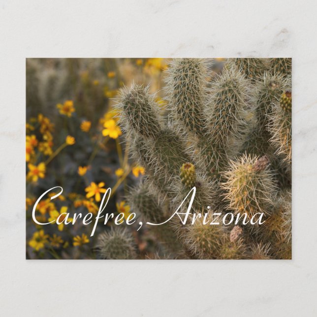 Carte Postale Cactus et Fleurs sauvages en Carefree, Arizona (Devant)