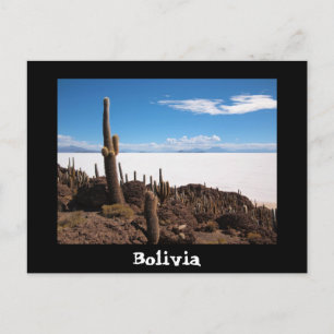 Carte postale Cactus et Salar de Uyuni
