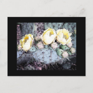 Carte Postale Cactus Flower Digital Ink