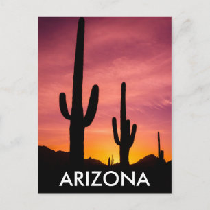 Carte Postale Cactus saguaro au lever du soleil, Arizona