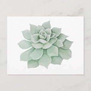 Carte Postale Cactus Succulent à la menthe verte en Merci floral