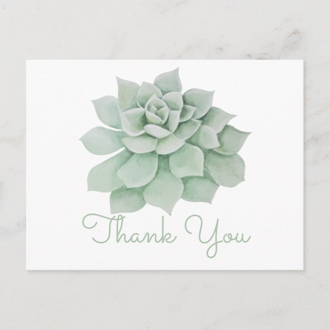 Carte Postale Cactus Succulent à la menthe verte en Merci floral (Devant)