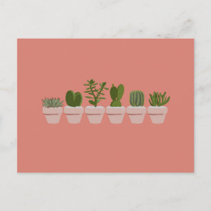 Carte Postale Cactus & Succulent - rose