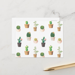 Carte Postale Cactus Succulents de Dessert Vert dans les pots