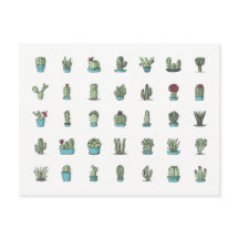 Cactus Succulents Plante main tiré Botanique