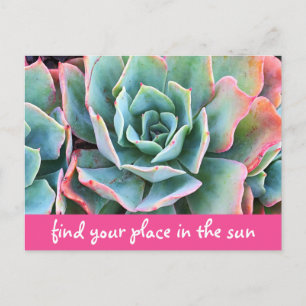 Carte Postale Cactus Vert Photographie Trouvez Votre Place Au So