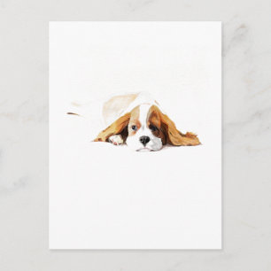 Carte postale cadeau Cavalier King Charles Spaniel