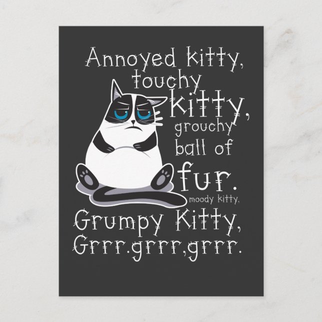Carte Postale Cadeau de chat Kitty Touchy Kitten Annoyed (Devant)
