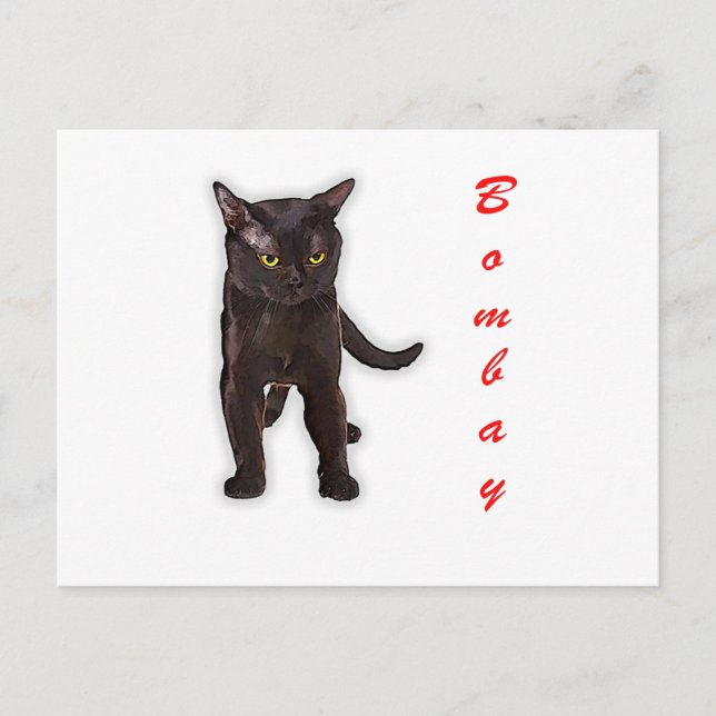 Carte Postale Cadeau drôle de chat Bombay dessiné à la main pour (Devant)