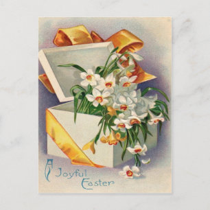 Carte Postale Cadeau Présent Jonquille Narcisse