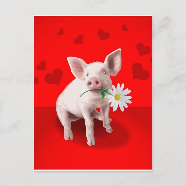 Carte Postale Cadeaux (Devant)