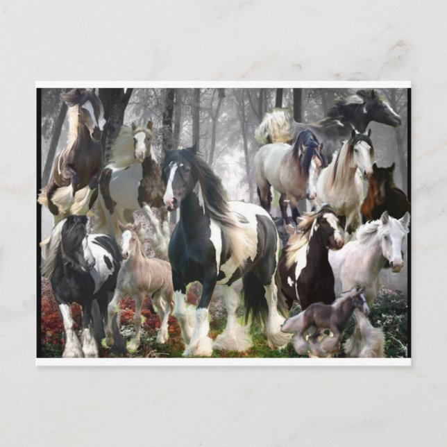 Carte Postale Cadeaux Cheval Tzigane (Devant)