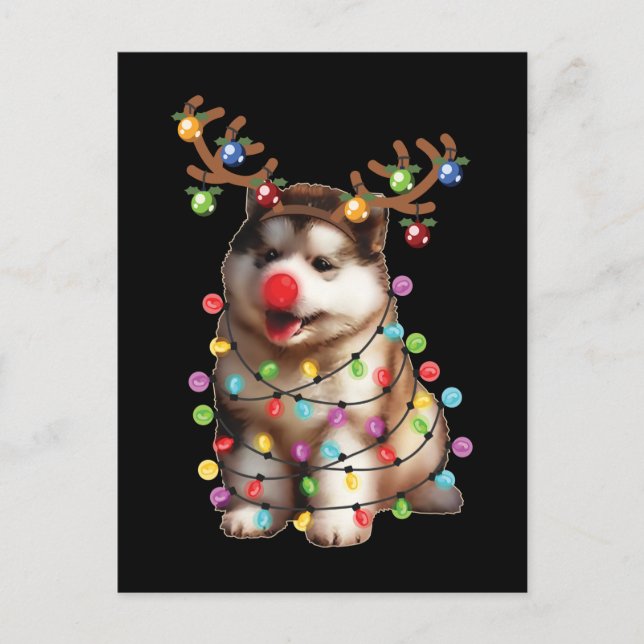 Carte Postale Cadeaux de Noël de chien de Malamute d'Alaska mign (Devant)