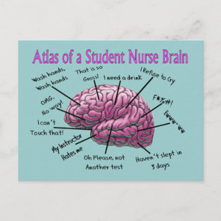 Carte Postale Cadeaux d'infirmière étudiante