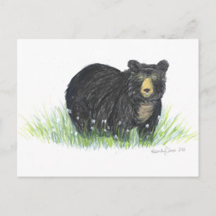 Carte Postale cadeaux d'ours noir