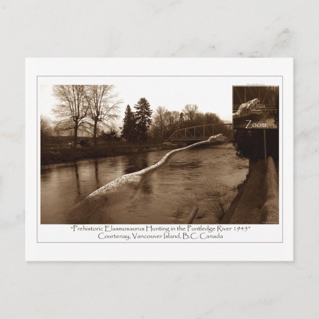 Carte Postale Cadeaux Elasmosaurus (Devant)