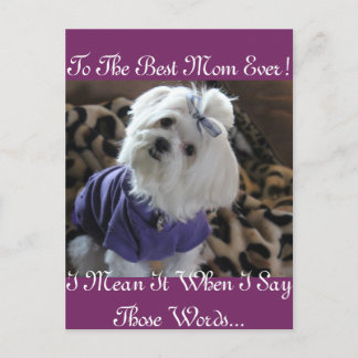 Carte Postale Cadeaux maltais