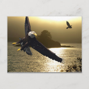Carte Postale Cadeaux Motivationnels de l'aigle chauve