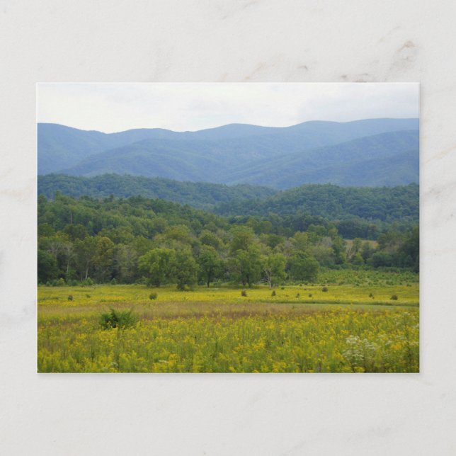 Carte Postale Cades Cove (Devant)