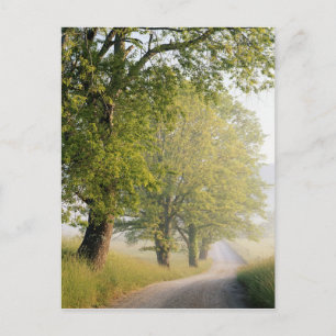 Carte Postale Cades cove Great Smokey Mountains