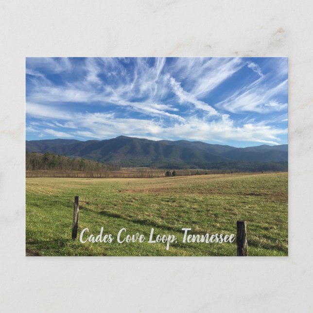 Carte Postale Cades Cove Loop, TN - Vue de champ ouverte (Devant)