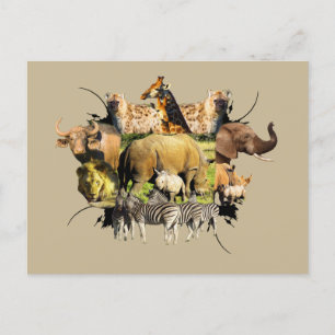 Carte Postale Cadre faunique africain Rhino Calf et mère