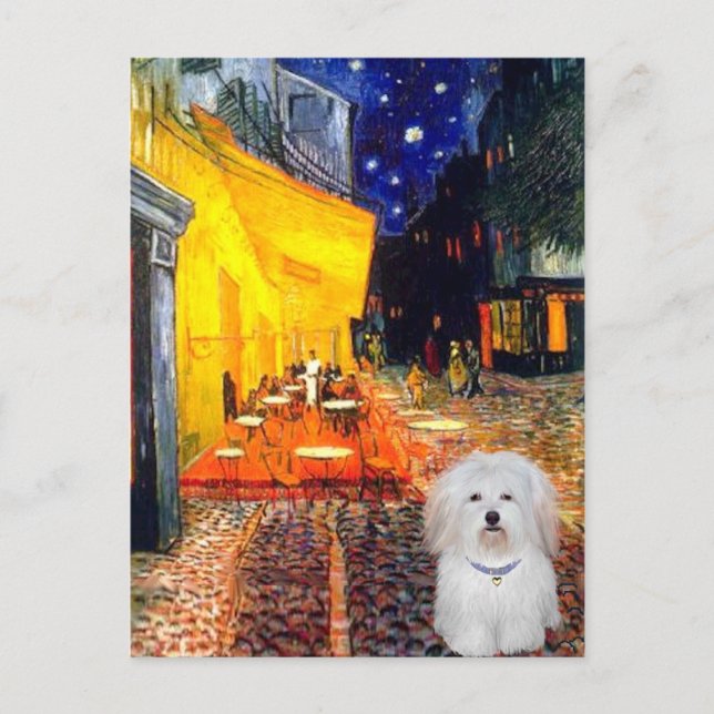 Carte Postale Cafe - Coton de Tulear 4b (Devant)
