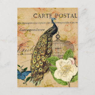 Carte Postale cages à oiseaux de camélia vintage paon