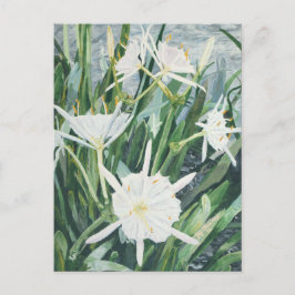Carte postale Cahaba Lilies