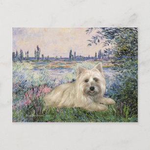 Carte Postale Cairn Terrier 4 - Au bord de la Seine