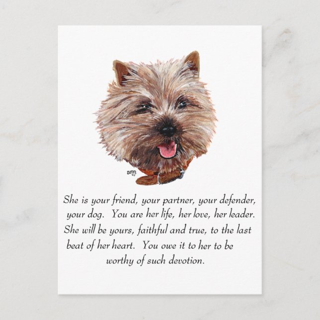 Carte Postale Cairn Terrier Keepsaké - FEMELLE (Devant)