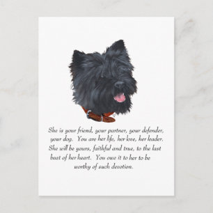 Carte Postale Cairn Terrier Noir Objet de Souvenir - Femelle
