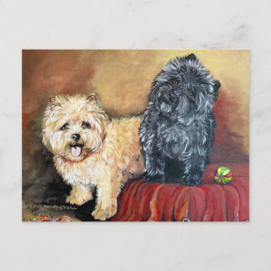Carte Postale Cairn Terrier Portrait