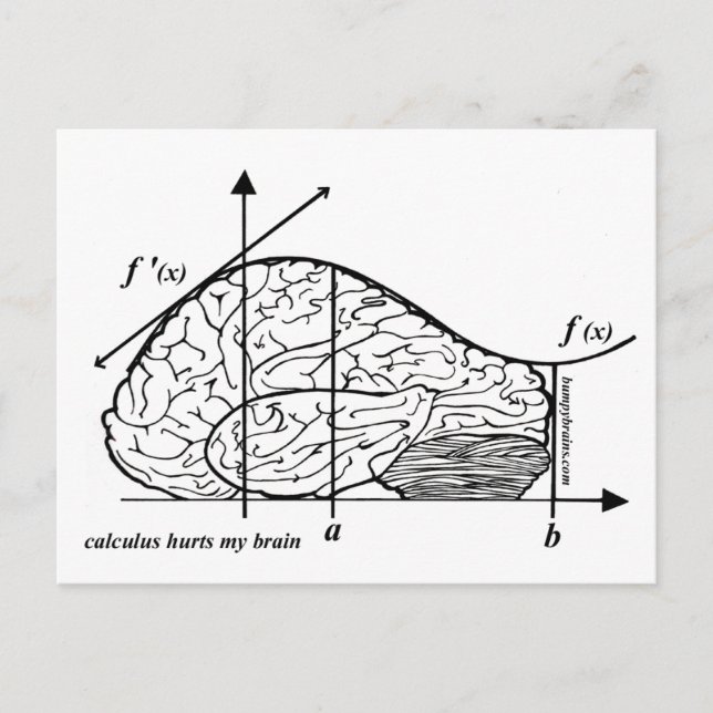 Carte Postale Calcul fait mal à mon cerveau (Devant)