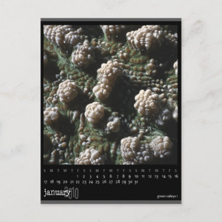 Carte Postale calendrier janvier 2010