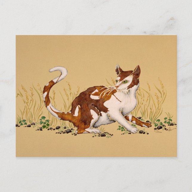 Carte Postale Calico Autum (Devant)