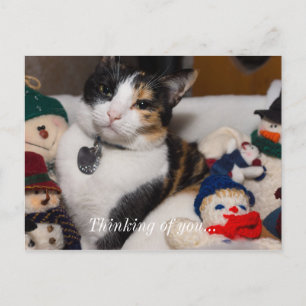 Carte Postale Calico Et Snowmen