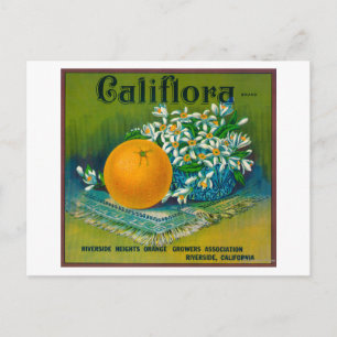 Carte Postale Califlora Orange LabelRiverside, CA