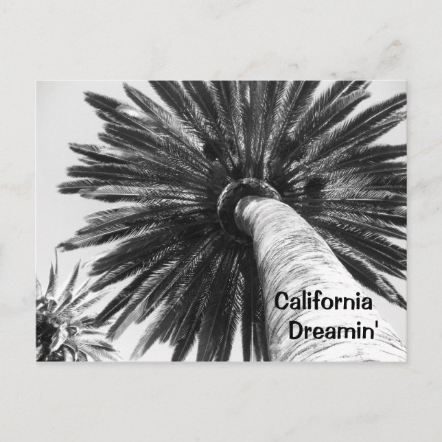 Carte postale California Dreamin (Devant)