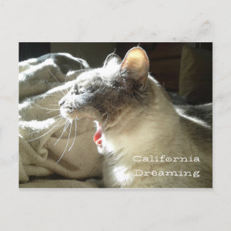 Carte Postale California Dreaming