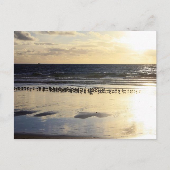 Carte Postale California - Manhattan Beach. K (Devant)