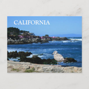 Carte postale California, Pacific Coastline