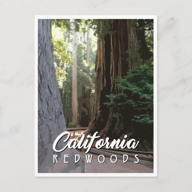 Carte postale California Redwoods (Devant)
