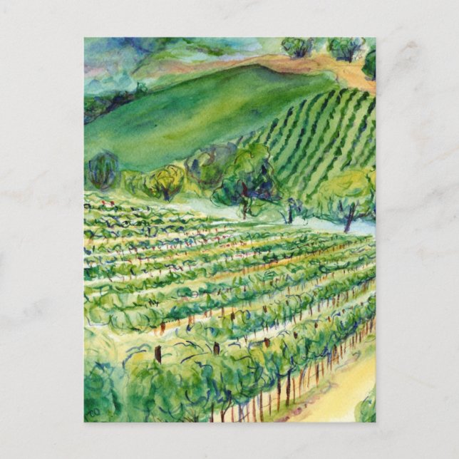 Carte postale California Vineyard (Devant)