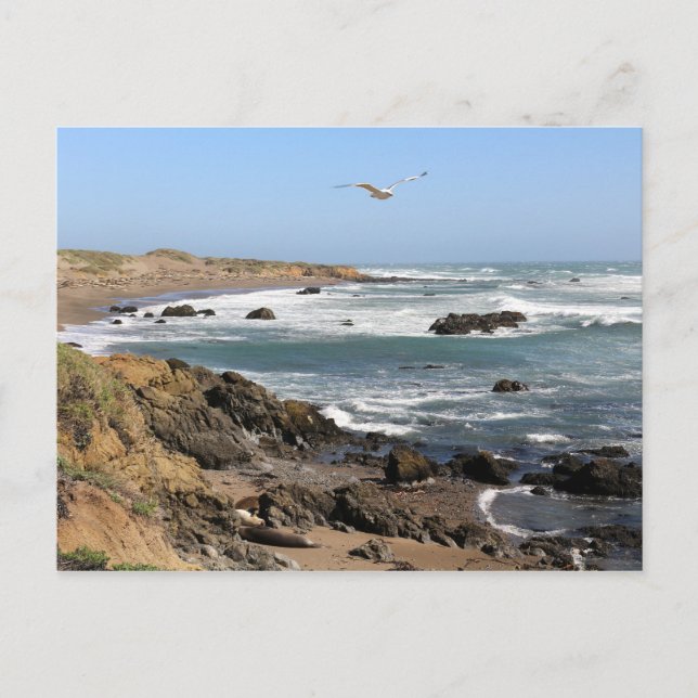 Carte Postale Californie (Devant)