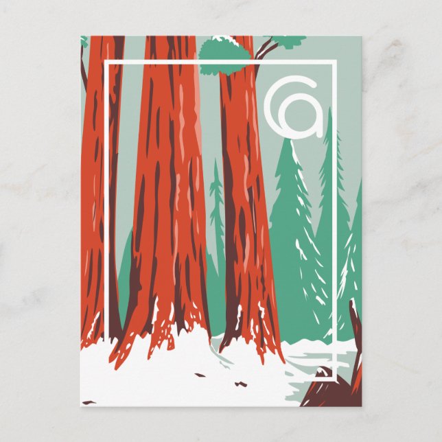 Carte Postale Californie | Parc national de Sequoia hiver (Devant)