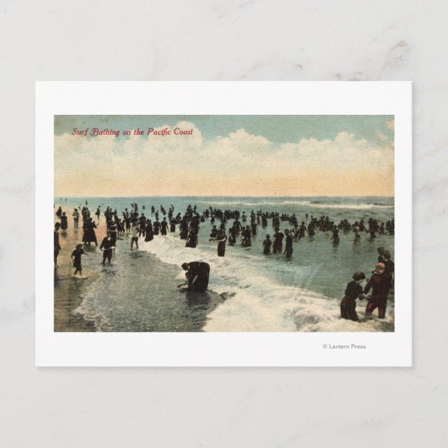 Carte Postale CalifornieFoules Nager sur la côte Pacifique (Devant)
